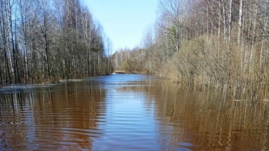 В Омской области затопило еще один район 
