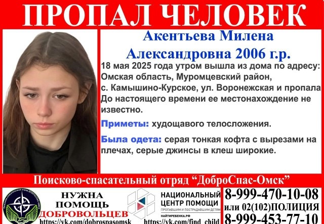Пропавшую школьницу в Омской области уже ищут с квадрокоптерами