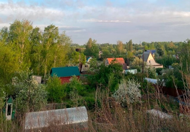 У омичей с 1 сентября начнут забирать дачи, но властям они не нужны