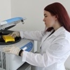 Ученые Омского АНЦ создали новые высокопродуктивные сорта пшеницы