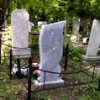 В Омске ищут подрядчика, который вырубит деревья на одном из кладбищ за миллион