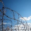 Кровь за слова: омича посадили на 12 лет за убийство обидчика его любимой