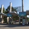 В центральном омском парке началась масштабная реконструкция
