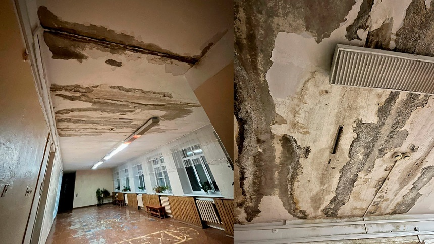 Бастрыкина заинтересовала омская школа с плесенью