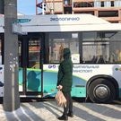 автобус_зима: общественный транспорт, автобус