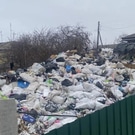 мусор: мусор