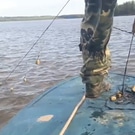 незаконная рыбалка: полиция