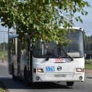 автобус: автобусы