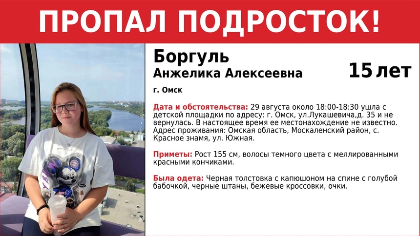 Пропавшая девочка: Розыск, поиски