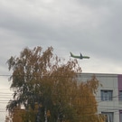 самолет: самолет