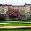 город Омск: погода