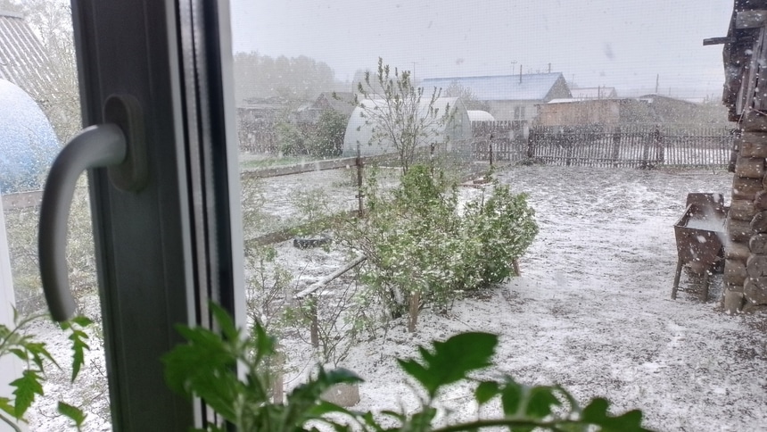 снег на даче: снег на даче