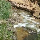 Амринская балка: Амринский ручей