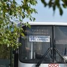 автобус: автобусы