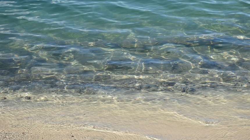 вода, река, озеро