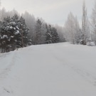 зимняя дорога: зимняя дорога