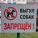 Выгул собак: собаки