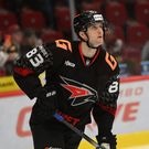 Александр Волков: ХК Авангард
