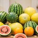Арбузы и дыни магазин: фрукты