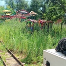 Паровозик в кустах: Парк 30-летия ВЛКСМ