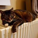 Батарея отопление: Отопление