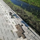 Тротуар Любинский: тротуар