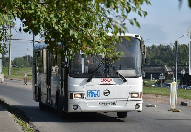 автобус: автобусы