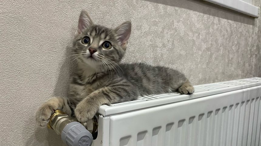 отопление_батарея: Отопление