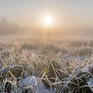 туман, зима, снег, утро: погода