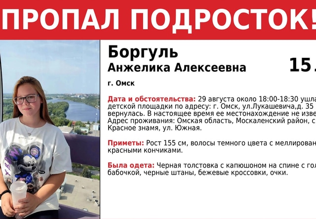 Пропавшая девочка: Розыск, поиски