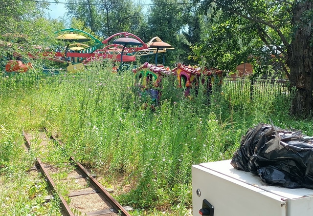 Паровозик в кустах