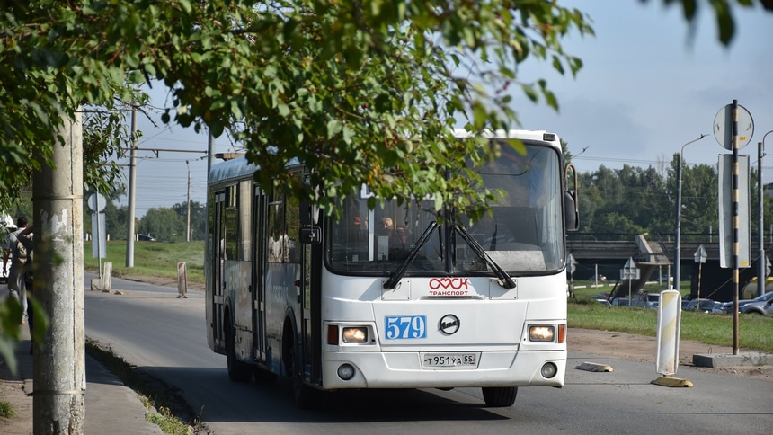 автобус: автобусы