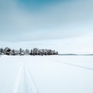снежное поле: снег