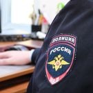 полиция, полицейский: полиция