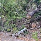 Поваленный забор ОмГАУ: забор