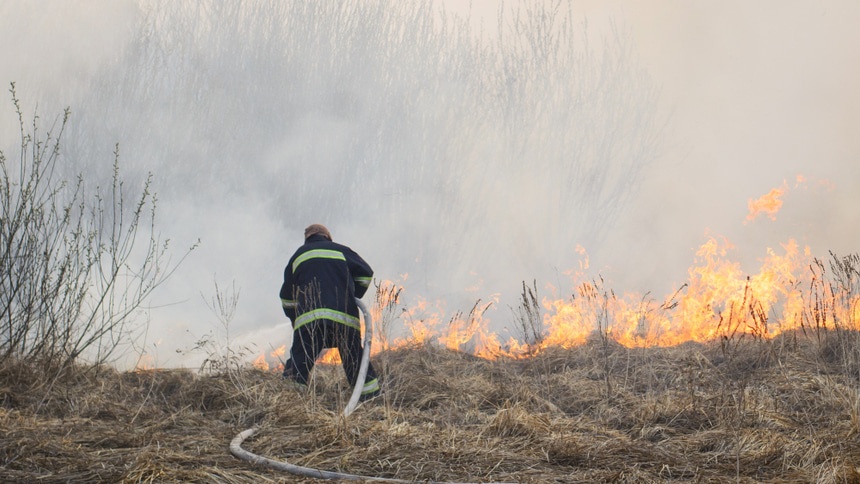 лесной пожар: пожар