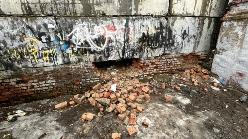 Сударушка: Сударушка