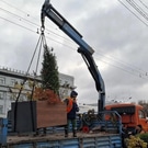 Кашпо: озеленение