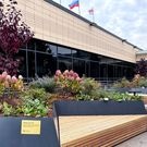 Камерный сад: филармония