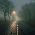 дорога: дороги