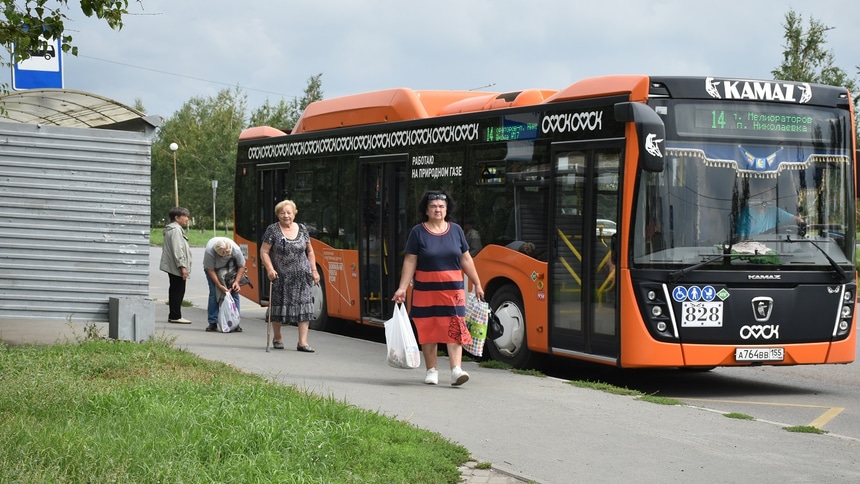 оранжевый автобус: автобусы