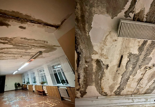 Мыши и плесень: омичи рассказали об ужасном состоянии школы