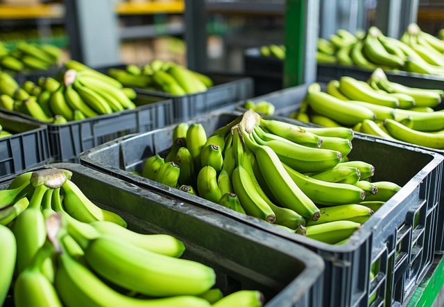 бананы: бананы