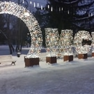 Омск: Омск