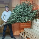 рекорд: рекорд