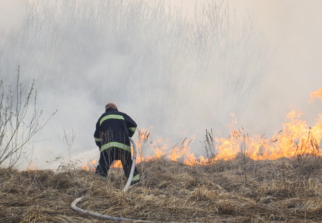 лесной пожар