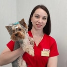Ветеринарный врач Светлана Мельникова: ветеринар, Светлана Мельникова
