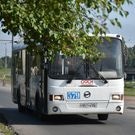 автобус: автобусы