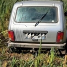 болото: автомобиль