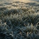 Заморозки: погода